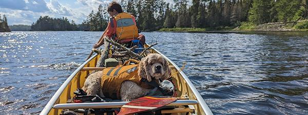 Yeti Rambler 20 Oz  Boundary Waters Catalog