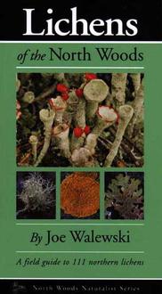  Lichens Of The North Woods