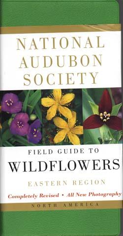 Wild Flowers of North America: 9783791388892 | : Books
