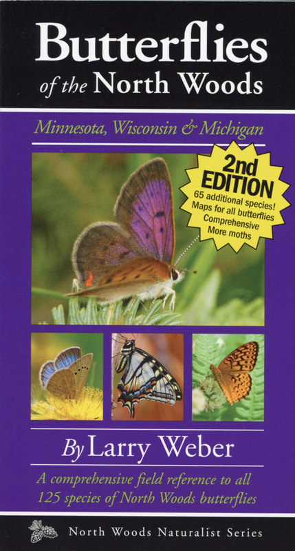 Butterflies Of The North Woods By Larry Weber Boundary