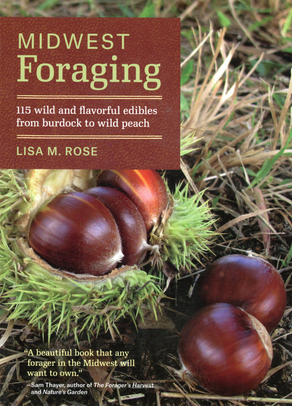Midwest Foraging By Lisa M.Rose Boundary Waters : Piragis