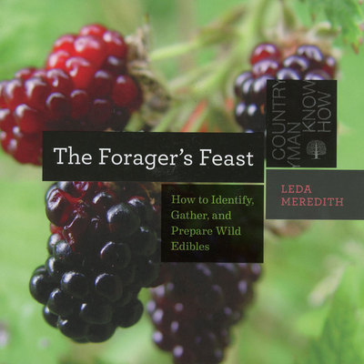  The Forager's Feast