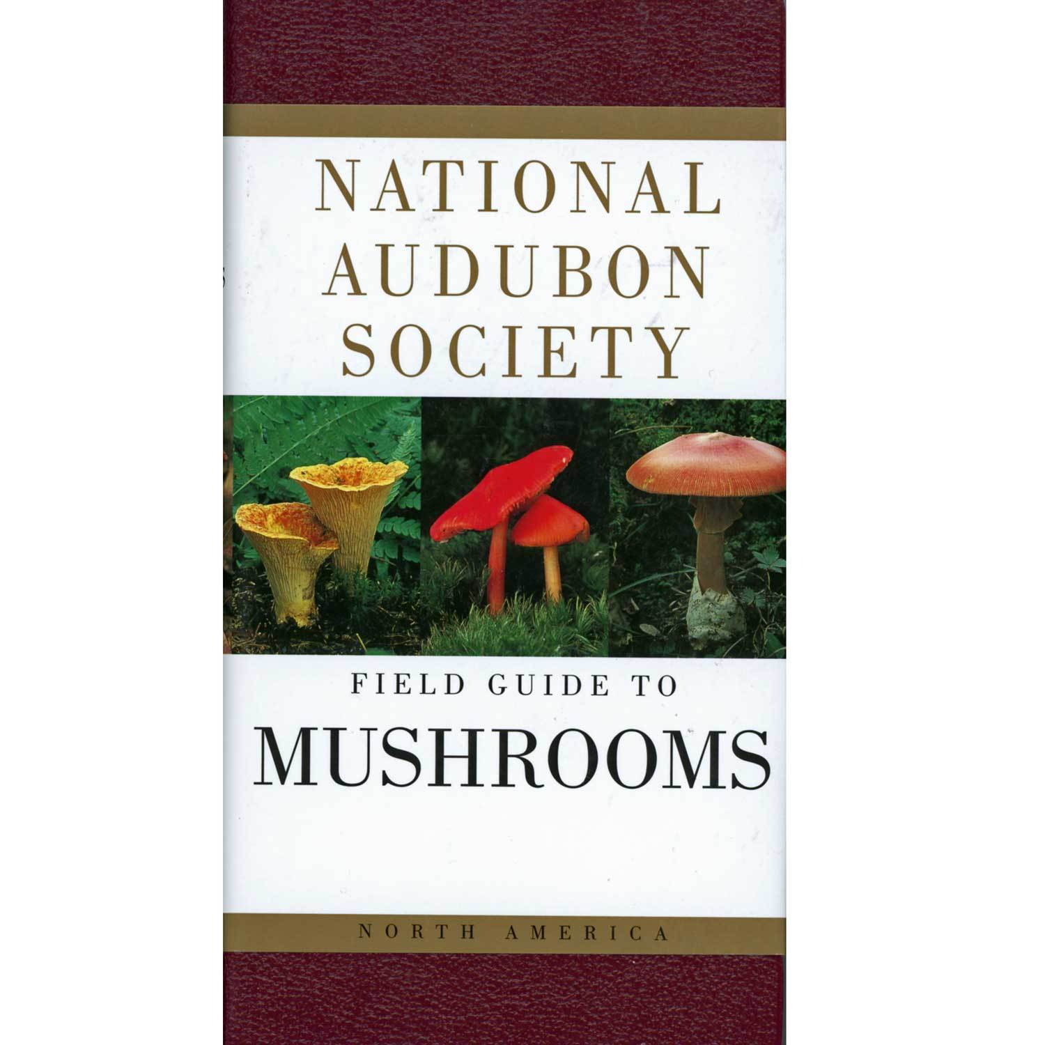 National Audubon Society Field Guide To Mushrooms Boundary Waters