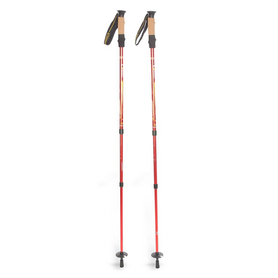  Pyrite Trekking Pole