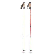 Pyrite Trekking Pole 