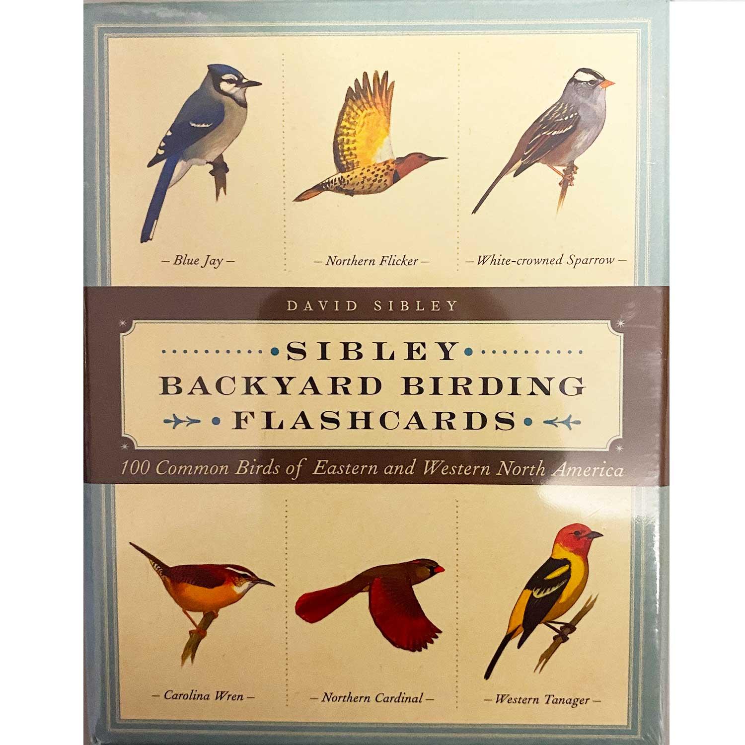 Sibley Backyard Birding Flashcards Boundary Waters Catalog
