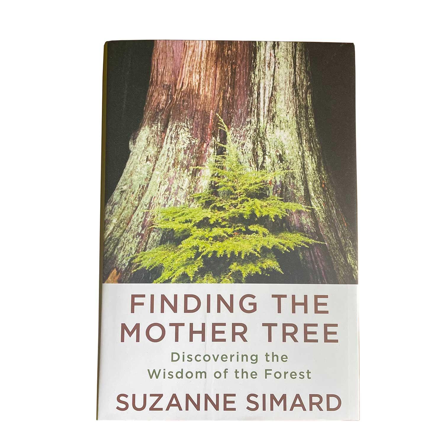 Finding the mother tree by suzanne simard boundary waters catalog