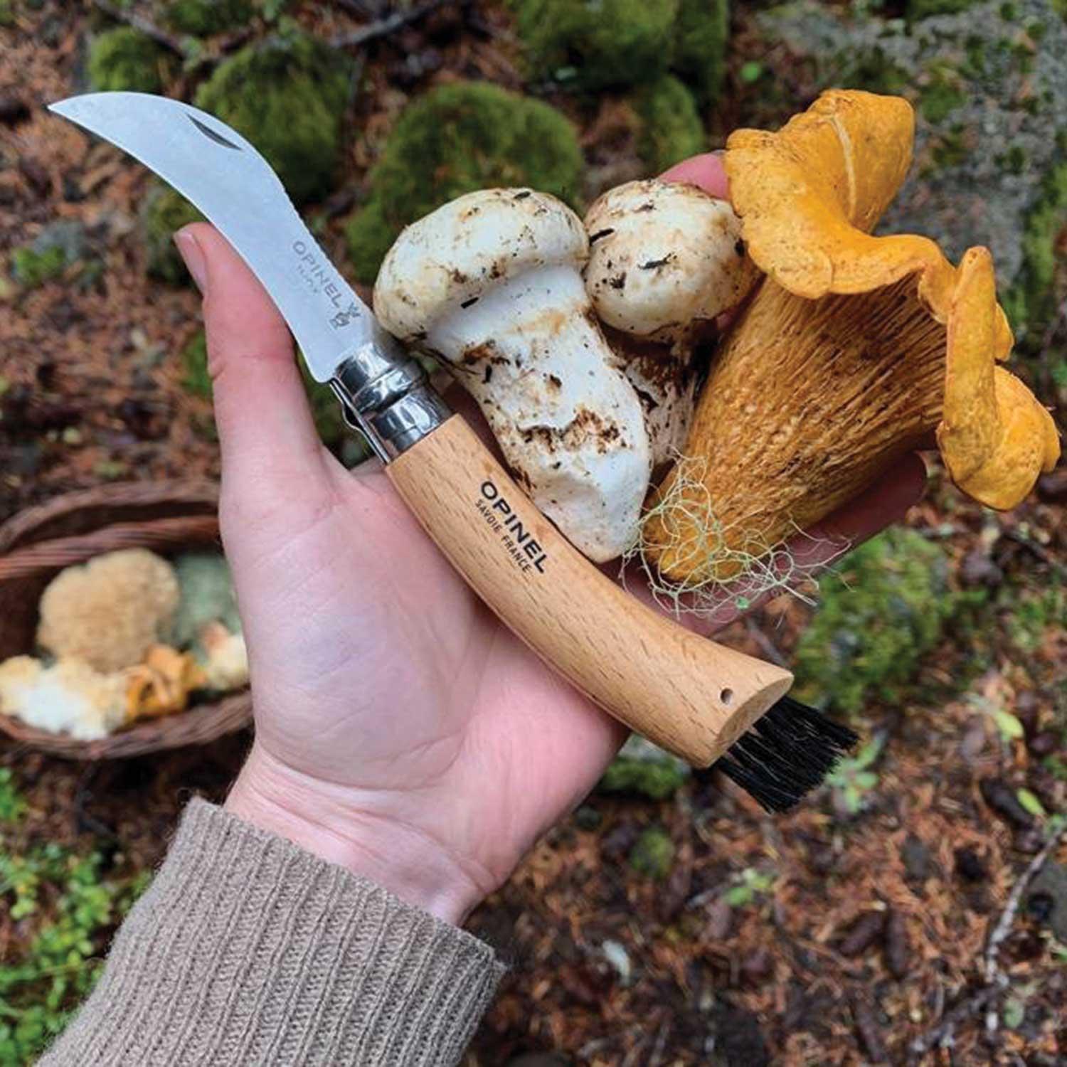 Opinel Stainless Steel Mushroom Knife