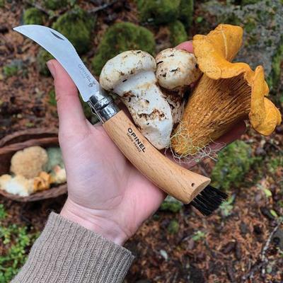  Opinel No 8 Mushroom Knife