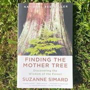  Finding The Mother Tree