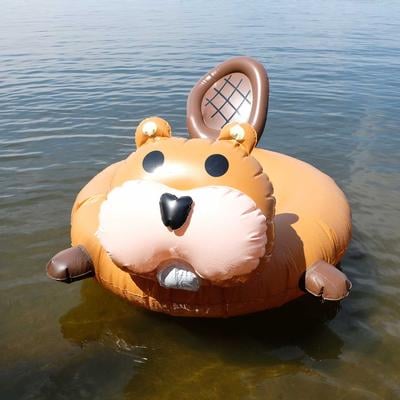  Float- Eh Beaver Float