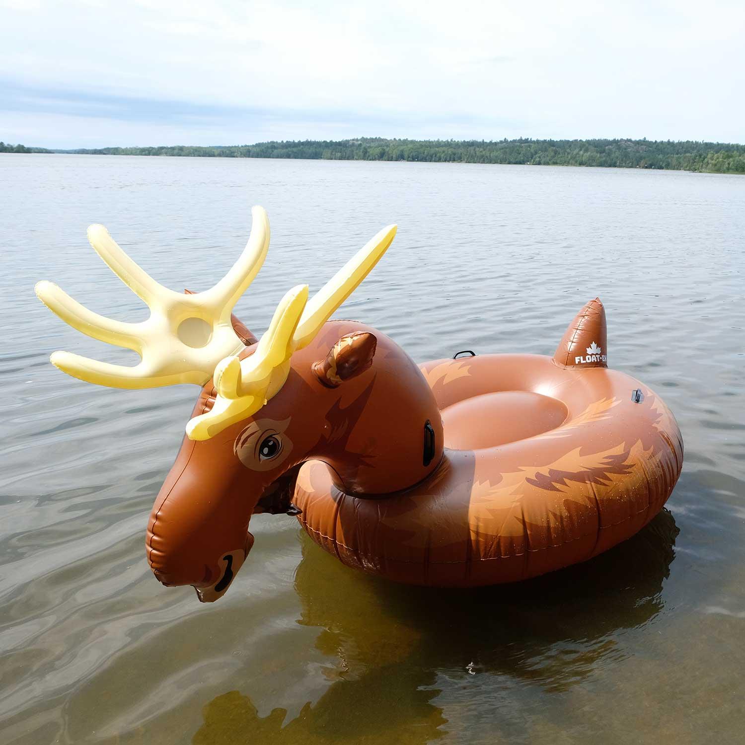 Deer sales pool float