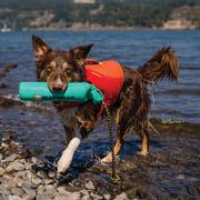  Ruffwear Lunker Dog Toy