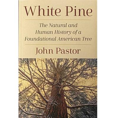  White Pine