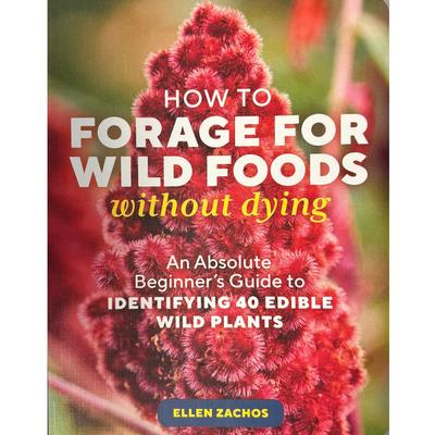  How To Forage For Wild Foods