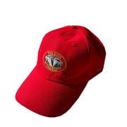  Piragis Northwoods Loon Logo Performance Cap