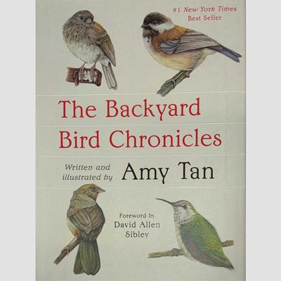  The Backyard Bird Chronicles