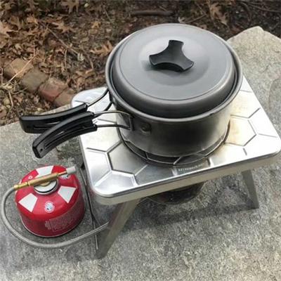  Multi Fuel Stove With Gas Adapter