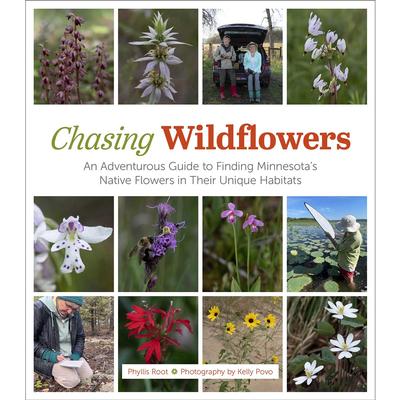  Chasing Wildflowers