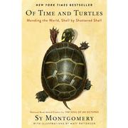 Of Time and Turtles 