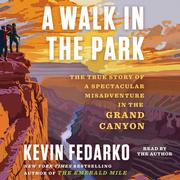 A Walk In The Park