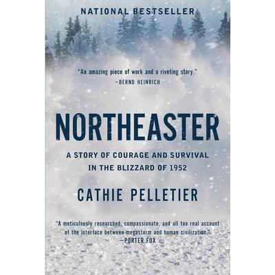  Northeaster