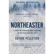  Northeaster