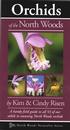 Orchids of the Northwoods
