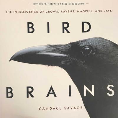  Bird Brains : The Intelligence Of Crows, Ravens, Magpies, And Jays