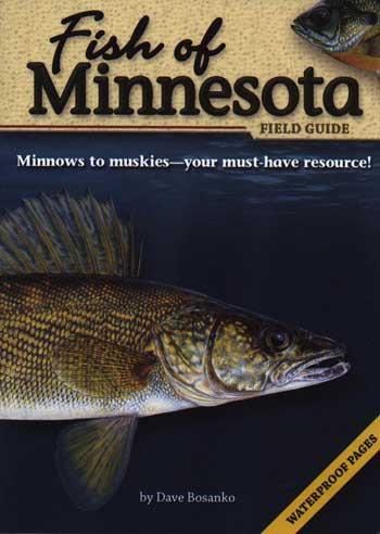 Fish Of Minnesota Field Guide By Dave Bosanko Boundary